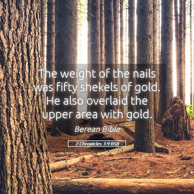 Picture 05 - 2 Chronicles 3:9 BSB - The weight of the nails was fifty shekels of - Bible Verse Picture