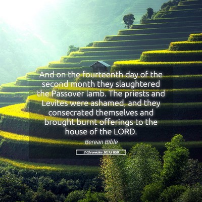 Picture 05 - 2 Chronicles 30:15 BSB - And on the fourteenth day of the second month - Bible Verse Picture