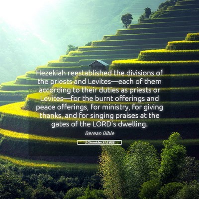 Picture 05 - 2 Chronicles 31:2 BSB - Hezekiah reestablished the divisions of the - Bible Verse Picture