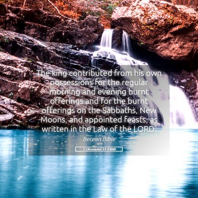 Picture 05 - 2 Chronicles 31:3 BSB - The king contributed from his own possessions for - Bible Verse Picture