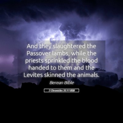 Picture 05 - 2 Chronicles 35:11 BSB - And they slaughtered the Passover lambs, while - Bible Verse Picture