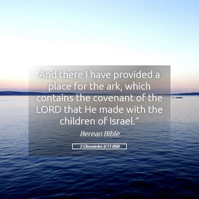 Picture 05 - 2 Chronicles 6:11 BSB - And there I have provided a place for the ark, - Bible Verse Picture