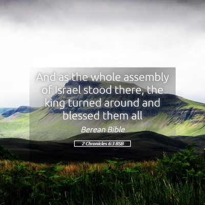 Picture 05 - 2 Chronicles 6:3 BSB - And as the whole assembly of Israel stood there, - Bible Verse Picture