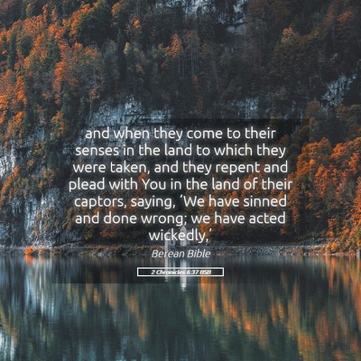 Picture 05 - 2 Chronicles 6:37 BSB - and when they come to their senses in the land to - Bible Verse Picture