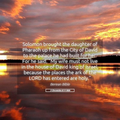 Picture 05 - 2 Chronicles 8:11 BSB - Solomon brought the daughter of Pharaoh up from - Bible Verse Picture