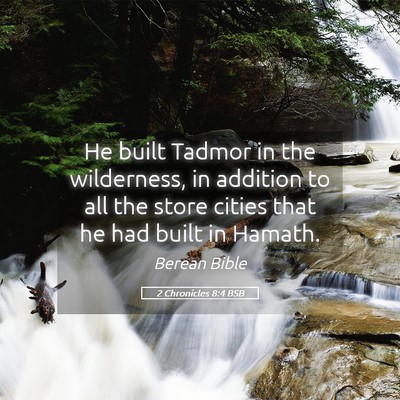 Picture 05 - 2 Chronicles 8:4 BSB - He built Tadmor in the wilderness, in addition to - Bible Verse Picture