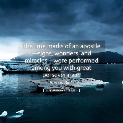 Picture 05 - 2 Corinthians 12:12 BSB - The true marks of an apostle—signs, wonders, - Bible Verse Picture