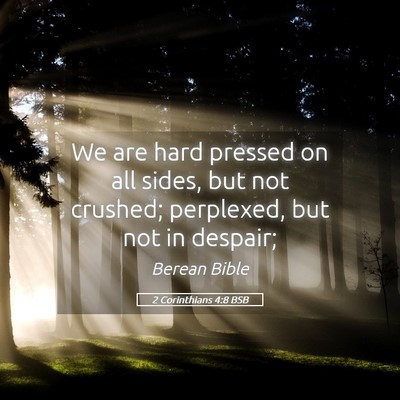 Picture 05 - 2 Corinthians 4:8 BSB - We are hard pressed on all sides, but not - Bible Verse Picture