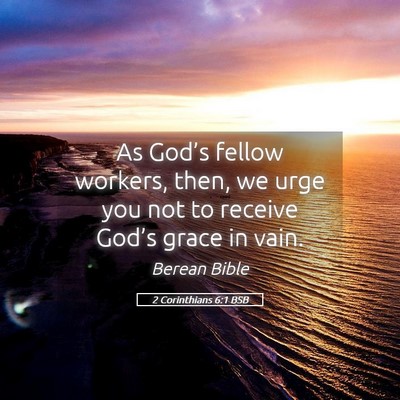 Picture 05 - 2 Corinthians 6:1 BSB - As God’s fellow workers, then, we urge you not - Bible Verse Picture