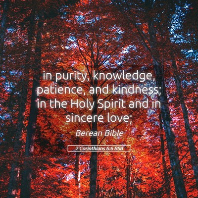 Picture 05 - 2 Corinthians 6:6 BSB - in purity, knowledge, patience, and kindness; in - Bible Verse Picture