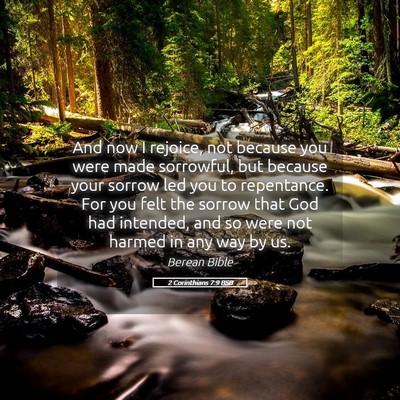 Picture 05 - 2 Corinthians 7:9 BSB - And now I rejoice, not because you were made - Bible Verse Picture