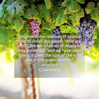 Picture 05 - 2 Kings 10:13 BSB - Jehu met some relatives of Ahaziah king of Judah - Bible Verse Picture