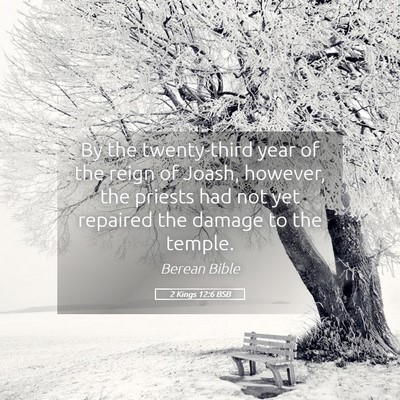 Picture 05 - 2 Kings 12:6 BSB - By the twenty-third year of the reign of Joash, - Bible Verse Picture