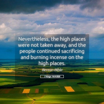 Picture 05 - 2 Kings 14:4 BSB - Nevertheless, the high places were not taken - Bible Verse Picture