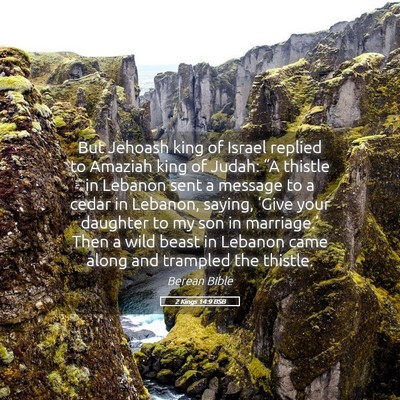 Picture 05 - 2 Kings 14:9 BSB - But Jehoash king of Israel replied to Amaziah - Bible Verse Picture