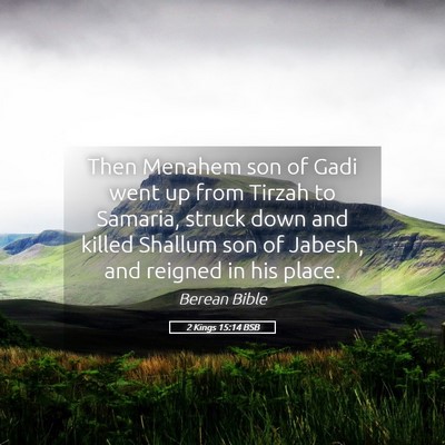 Picture 05 - 2 Kings 15:14 BSB - Then Menahem son of Gadi went up from Tirzah to - Bible Verse Picture