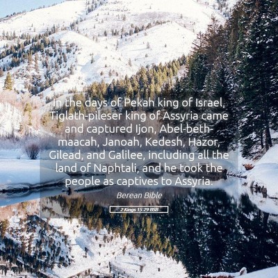 Picture 05 - 2 Kings 15:29 BSB - In the days of Pekah king of Israel, - Bible Verse Picture