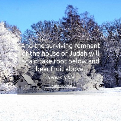 Picture 05 - 2 Kings 19:30 BSB - And the surviving remnant of the house of Judah - Bible Verse Picture