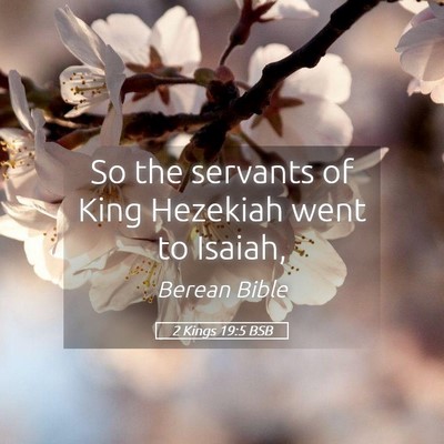 Picture 05 - 2 Kings 19:5 BSB - So the servants of King Hezekiah went to - Bible Verse Picture