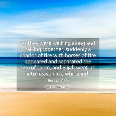 Picture 05 - 2 Kings 2:11 BSB - As they were walking along and talking together, - Bible Verse Picture