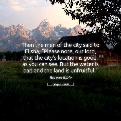 Picture 05 - 2 Kings 2:19 BSB - Then the men of the city said to Elisha, - Bible Verse Picture