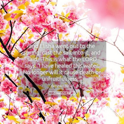 Picture 05 - 2 Kings 2:21 BSB - and Elisha went out to the spring, cast the salt - Bible Verse Picture