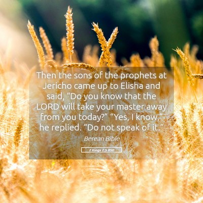 Picture 05 - 2 Kings 2:5 BSB - Then the sons of the prophets at Jericho came up - Bible Verse Picture