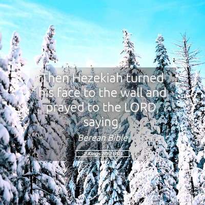 Picture 05 - 2 Kings 20:2 BSB - Then Hezekiah turned his face to the wall and - Bible Verse Picture