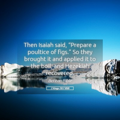 Picture 05 - 2 Kings 20:7 BSB - Then Isaiah said, “Prepare a poultice of - Bible Verse Picture
