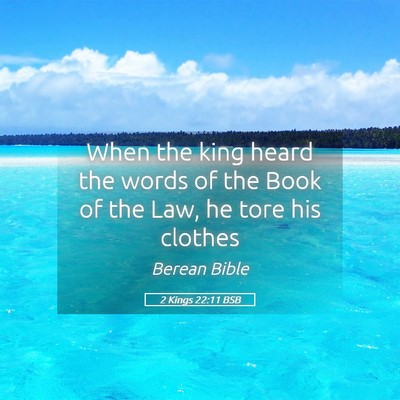 Picture 05 - 2 Kings 22:11 BSB - When the king heard the words of the Book of the - Bible Verse Picture