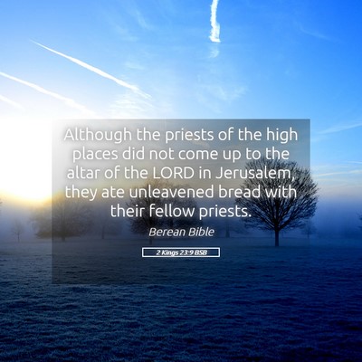Picture 05 - 2 Kings 23:9 BSB - Although the priests of the high places did not - Bible Verse Picture
