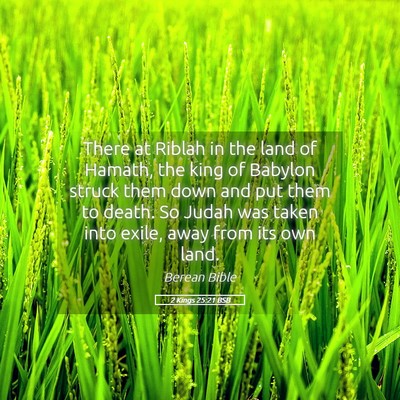 Picture 05 - 2 Kings 25:21 BSB - There at Riblah in the land of Hamath, the king - Bible Verse Picture