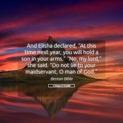 Picture 05 - 2 Kings 4:16 BSB - And Elisha declared, “At this time next year, - Bible Verse Picture