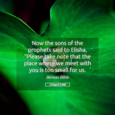 Picture 05 - 2 Kings 6:1 BSB - Now the sons of the prophets said to Elisha, - Bible Verse Picture