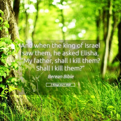 Picture 05 - 2 Kings 6:21 BSB - And when the king of Israel saw them, he asked - Bible Verse Picture