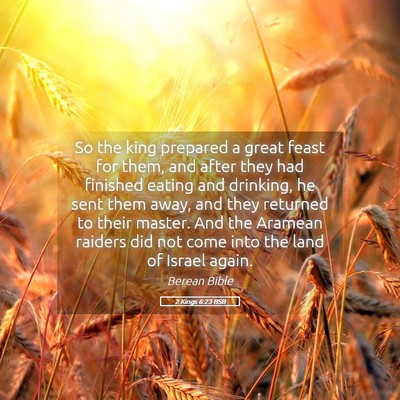 Picture 05 - 2 Kings 6:23 BSB - So the king prepared a great feast for them, and - Bible Verse Picture