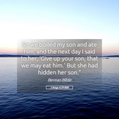 Picture 05 - 2 Kings 6:29 BSB - So we boiled my son and ate him, and the next day - Bible Verse Picture