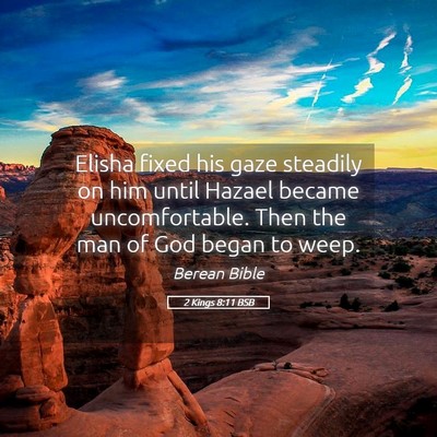 Picture 05 - 2 Kings 8:11 BSB - Elisha fixed his gaze steadily on him until - Bible Verse Picture