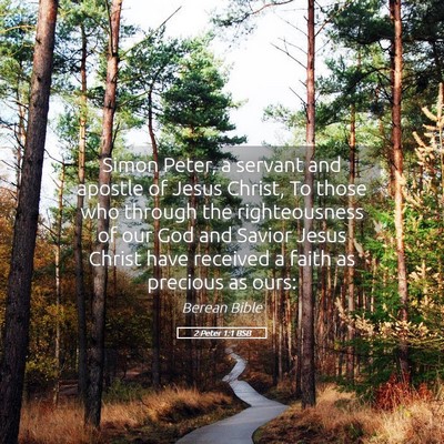 Picture 05 - 2 Peter 1:1 BSB - Simon Peter, a servant and apostle of Jesus - Bible Verse Picture