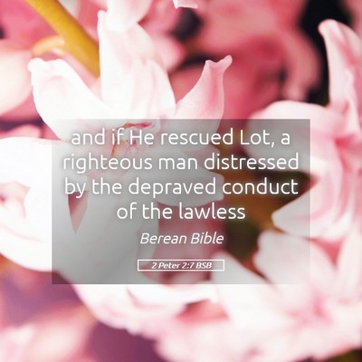 Picture 05 - 2 Peter 2:7 BSB - and if He rescued Lot, a righteous man distressed - Bible Verse Picture
