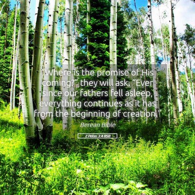 Picture 05 - 2 Peter 3:4 BSB - “Where is the promise of His coming?” they - Bible Verse Picture