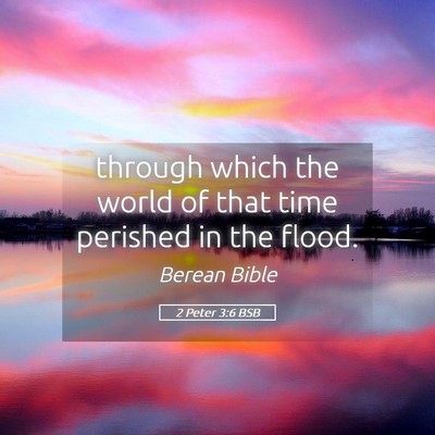 Picture 05 - 2 Peter 3:6 BSB - through which the world of that time perished in - Bible Verse Picture