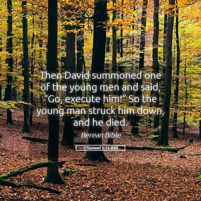 Picture 05 - 2 Samuel 1:15 BSB - Then David summoned one of the young men and - Bible Verse Picture