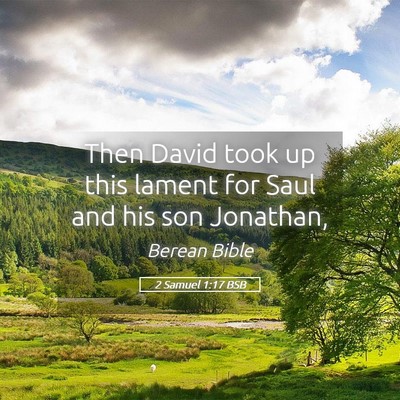 Picture 05 - 2 Samuel 1:17 BSB - Then David took up this lament for Saul and his - Bible Verse Picture