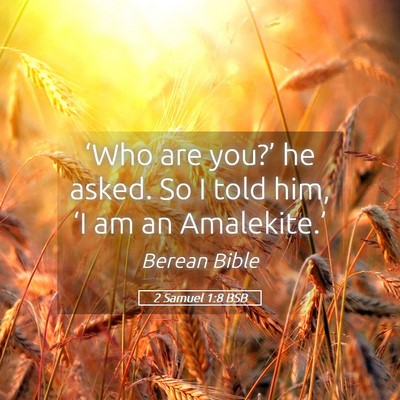 Picture 05 - 2 Samuel 1:8 BSB - ‘Who are you?’ he asked. So I told him, ‘I - Bible Verse Picture