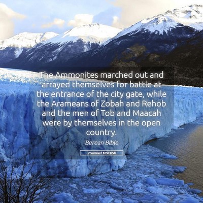 Picture 05 - 2 Samuel 10:8 BSB - The Ammonites marched out and arrayed themselves - Bible Verse Picture