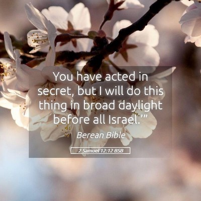 Picture 05 - 2 Samuel 12:12 BSB - You have acted in secret, but I will do this - Bible Verse Picture