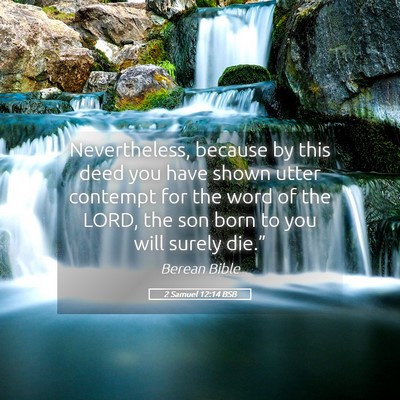 Picture 05 - 2 Samuel 12:14 BSB - Nevertheless, because by this deed you have shown - Bible Verse Picture