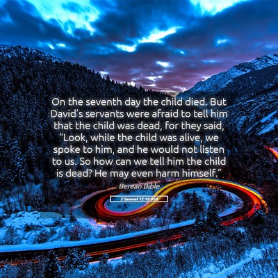 Picture 05 - 2 Samuel 12:18 BSB - On the seventh day the child died. But David’s - Bible Verse Picture