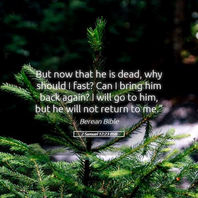 Picture 05 - 2 Samuel 12:23 BSB - But now that he is dead, why should I fast? Can I - Bible Verse Picture